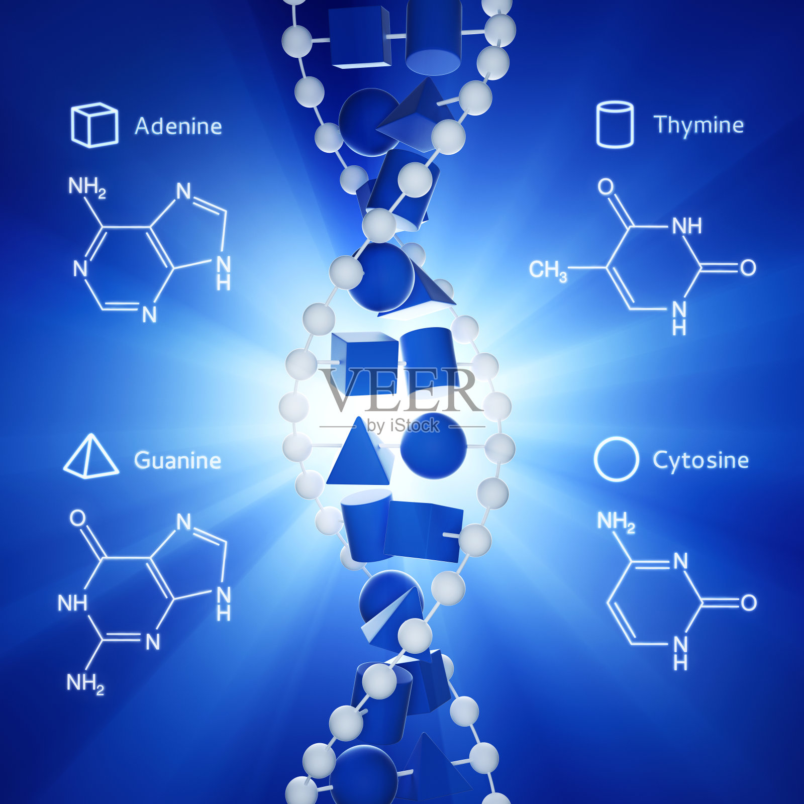 光线中的DNA分子XL+照片摄影图片