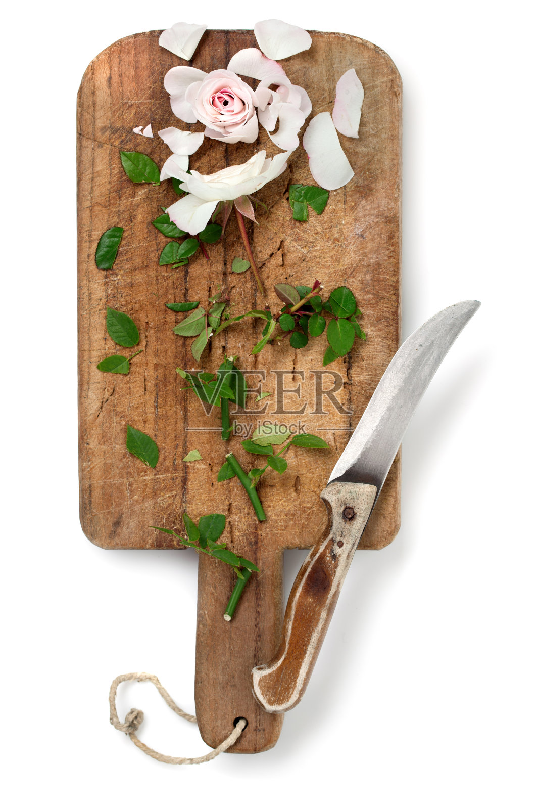 切碎的粉色玫瑰照片摄影图片