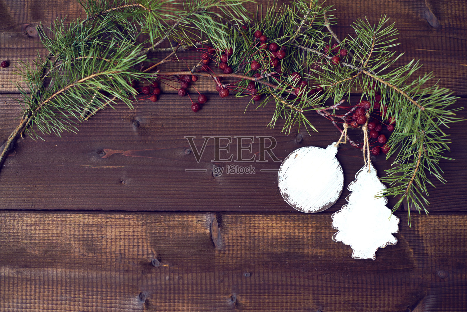 生态装饰照片摄影图片