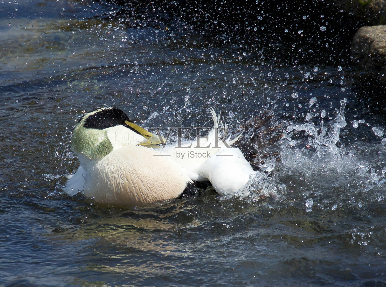 苹果酒照片摄影图片