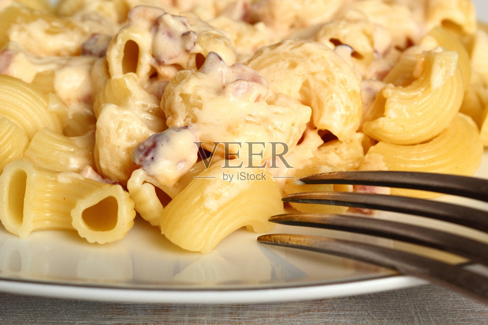 意大利通心粉加干酪沙司照片摄影图片