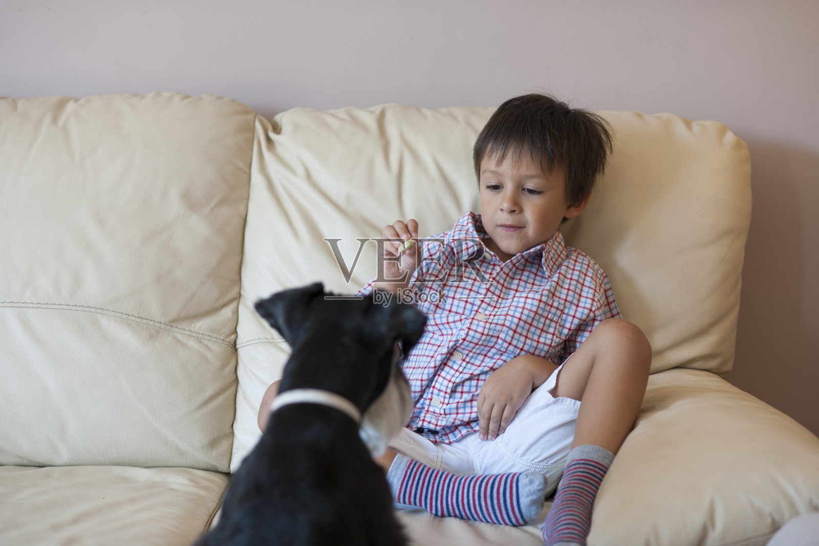 小男孩和他的狗玩照片摄影图片