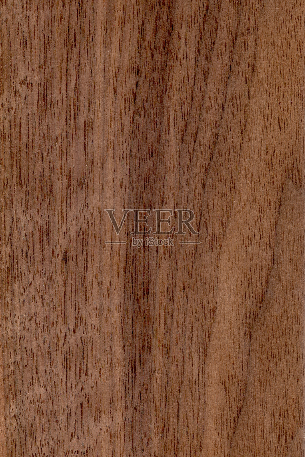 黑胡桃木,黑胡桃木照片摄影图片