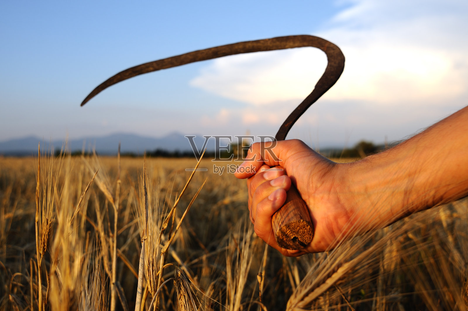 收获与镰状照片摄影图片