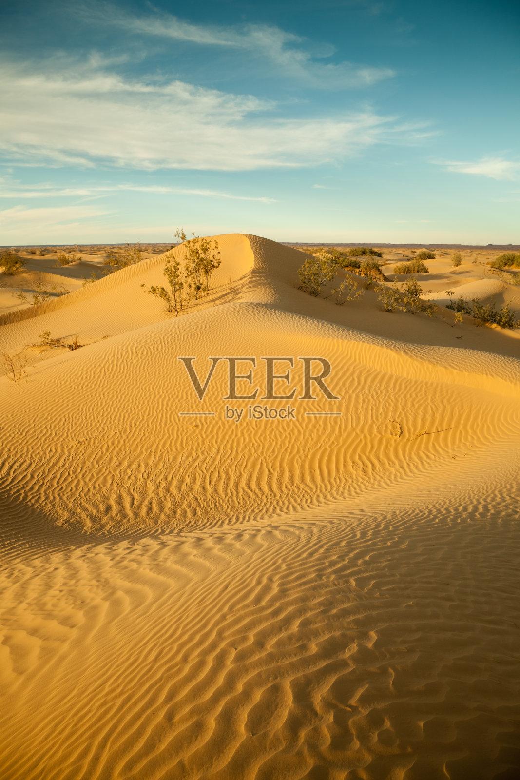 利比亚撒哈拉沙漠的Dunescape照片摄影图片