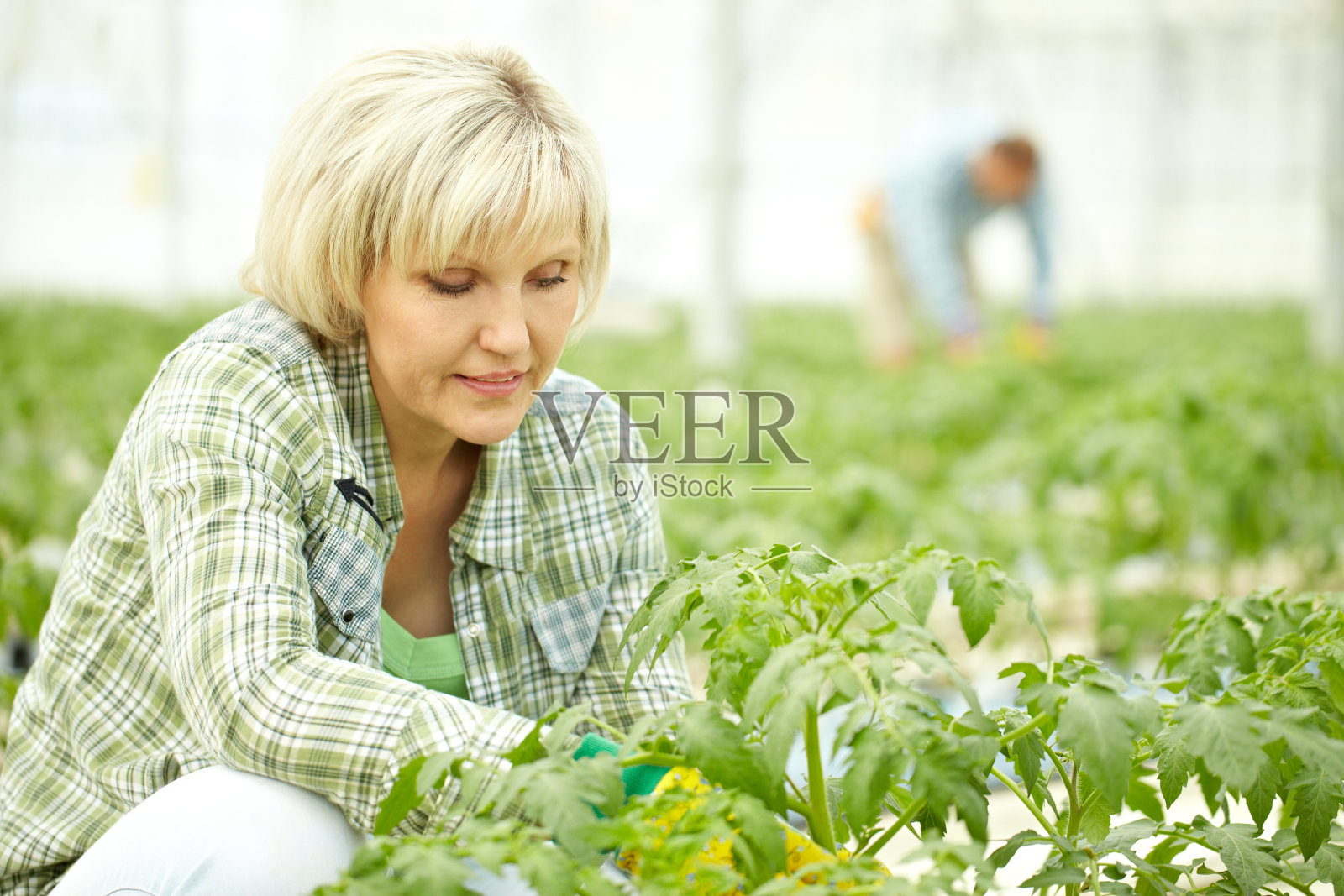 农业工人照片摄影图片