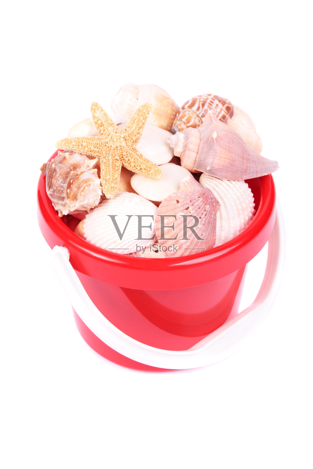 带壳砂桶照片摄影图片