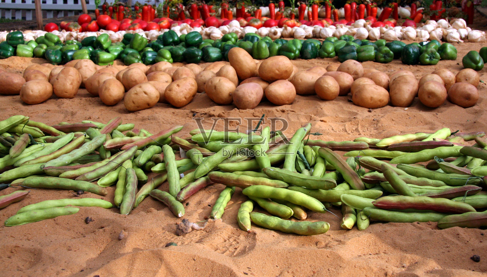菜园照片摄影图片
