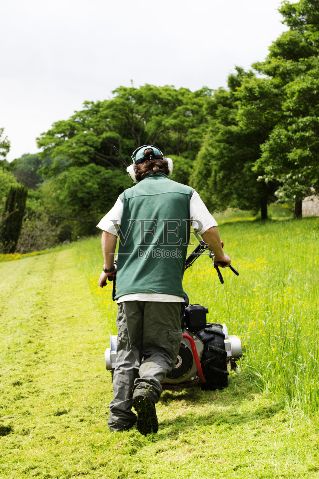 割草照片摄影图片