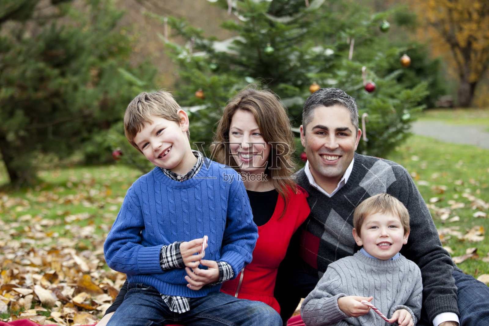 户外全家福;妈妈,爸爸和两个儿子在圣诞节照片摄影图片