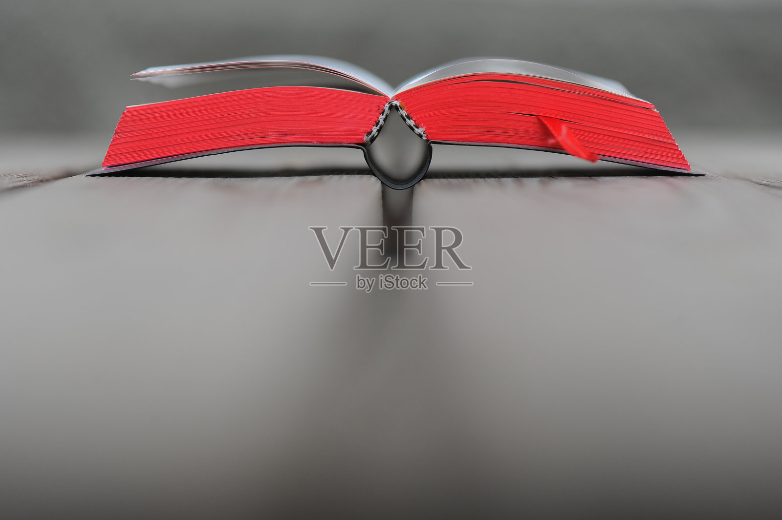 圣经照片摄影图片