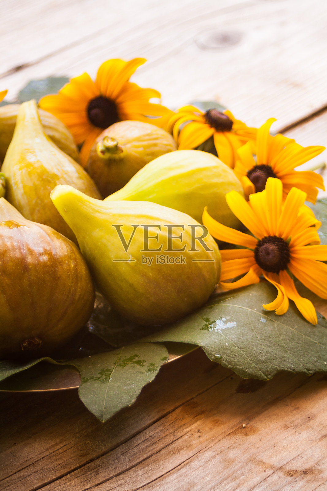 金牙(k收养)图照片摄影图片