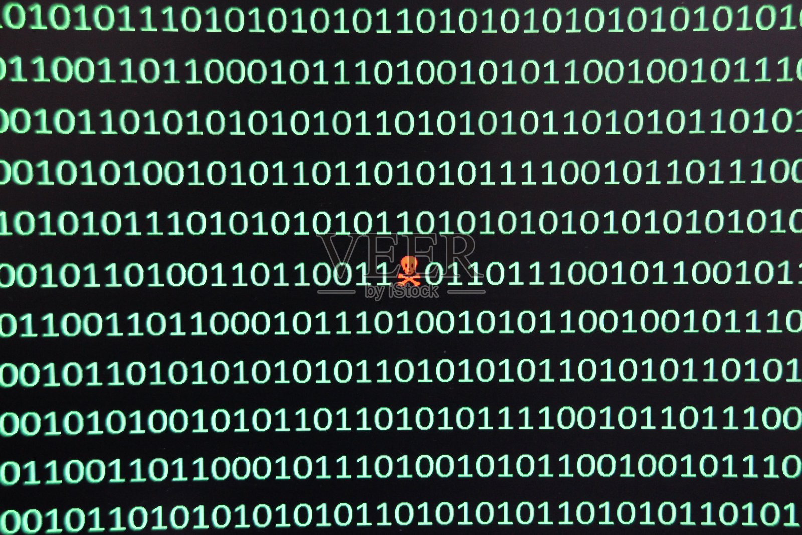 利用二进制代码照片摄影图片