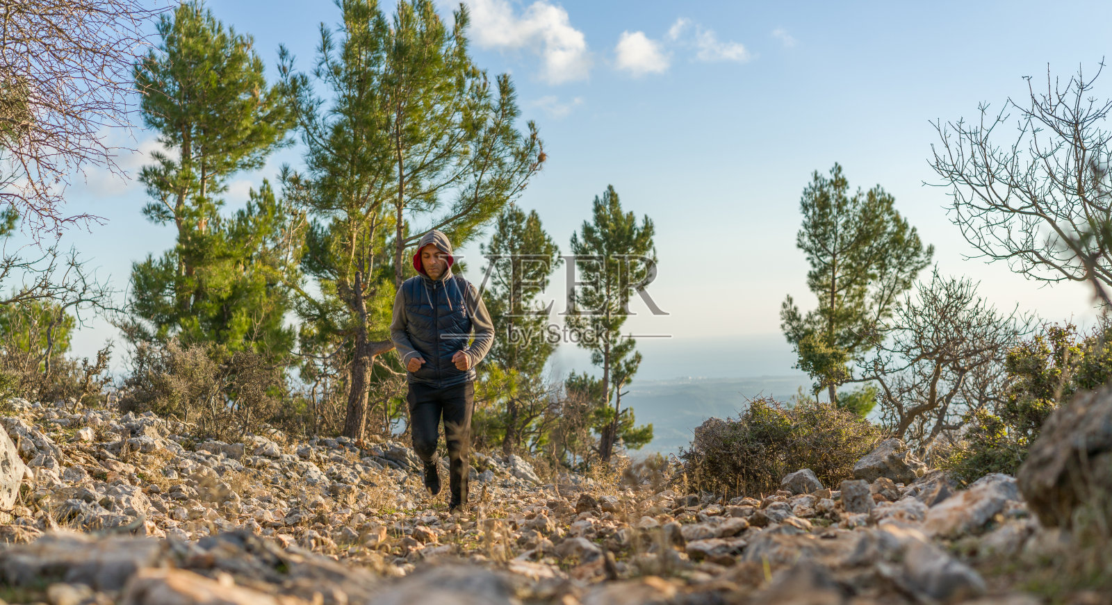 黎明时分,一个人在森林里独自奔跑照片摄影图片