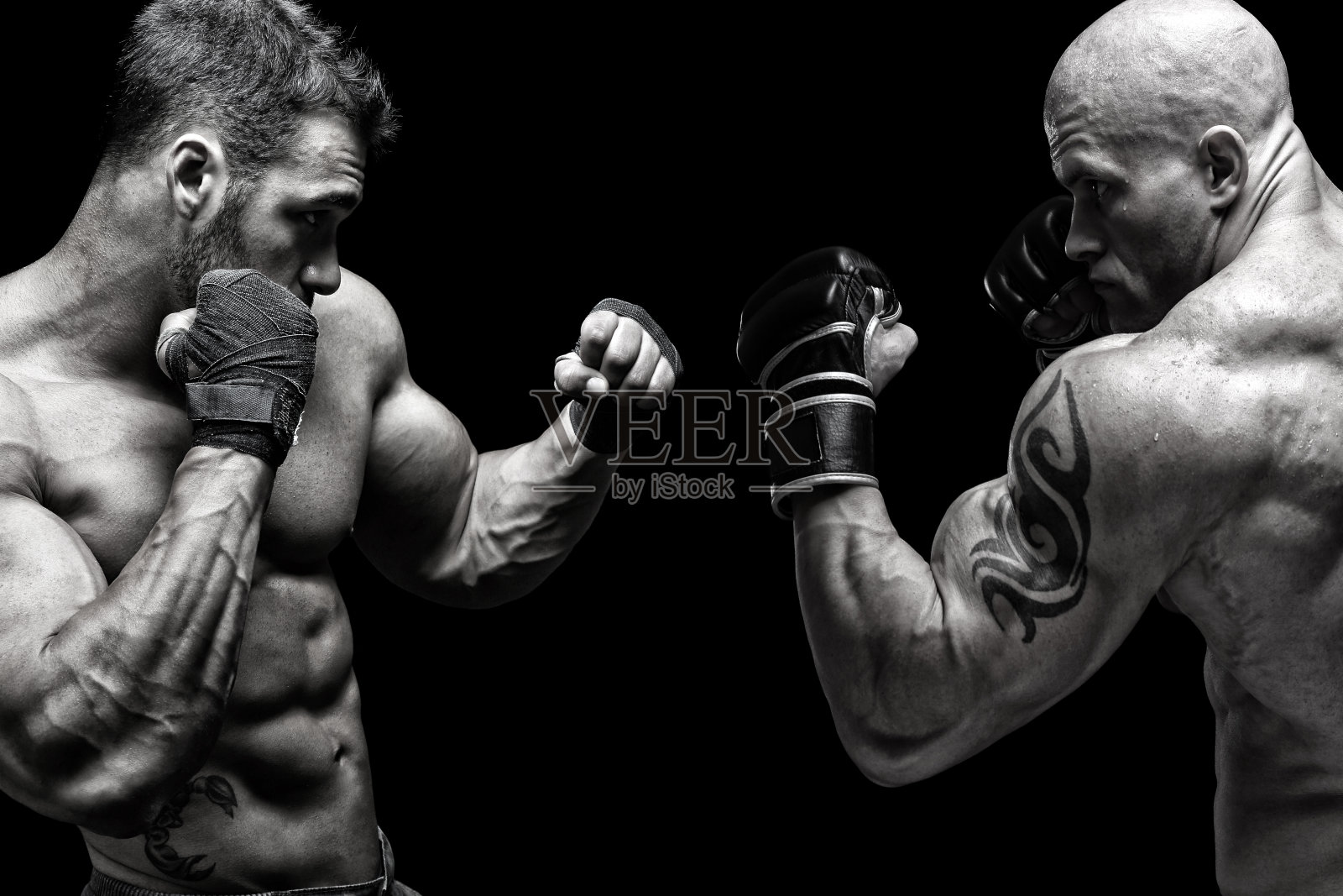 战斗照片摄影图片