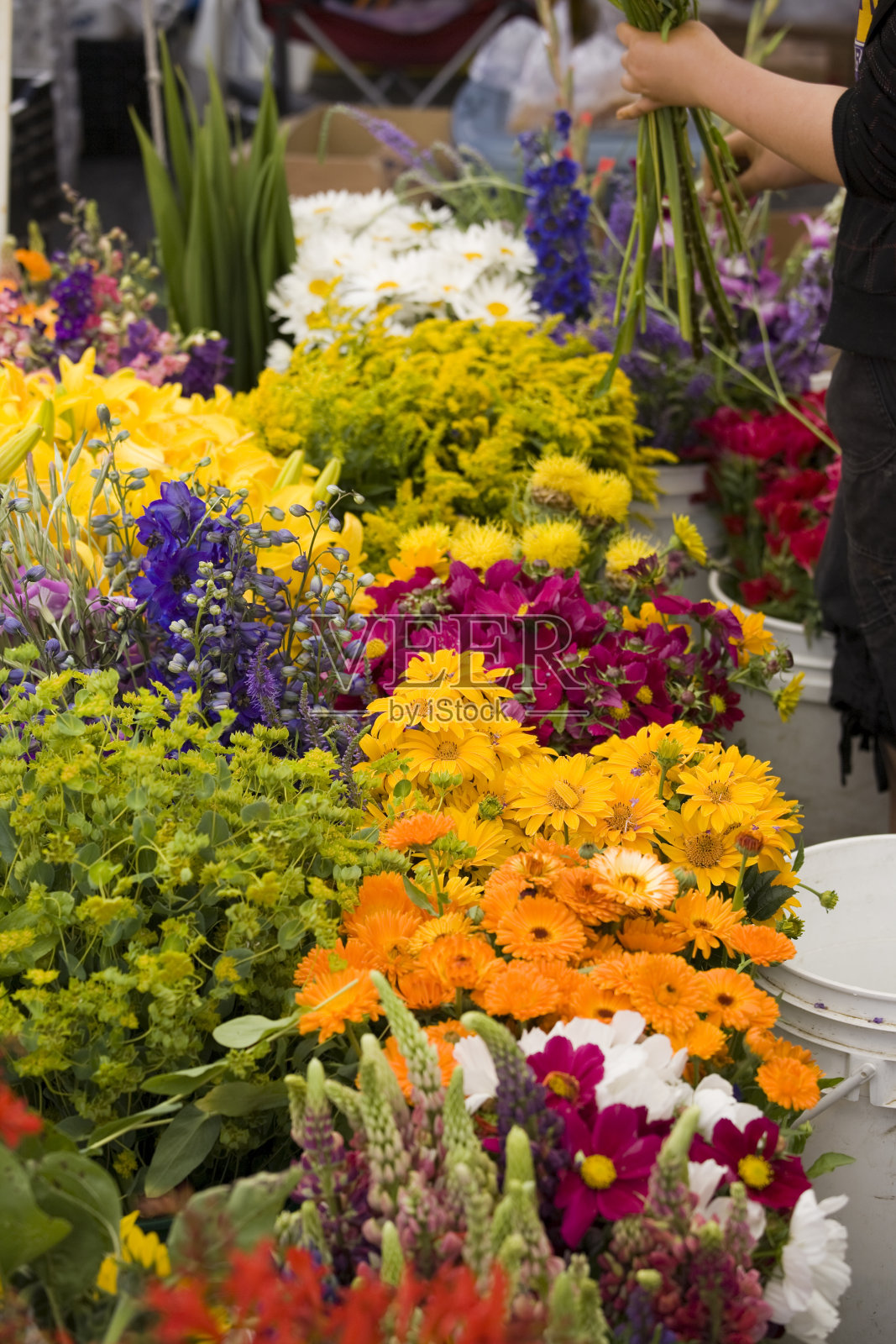花商在一个有盖的花卉市场工作照片摄影图片