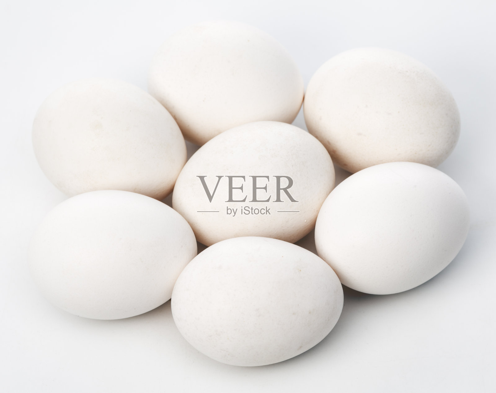 白蛋照片摄影图片