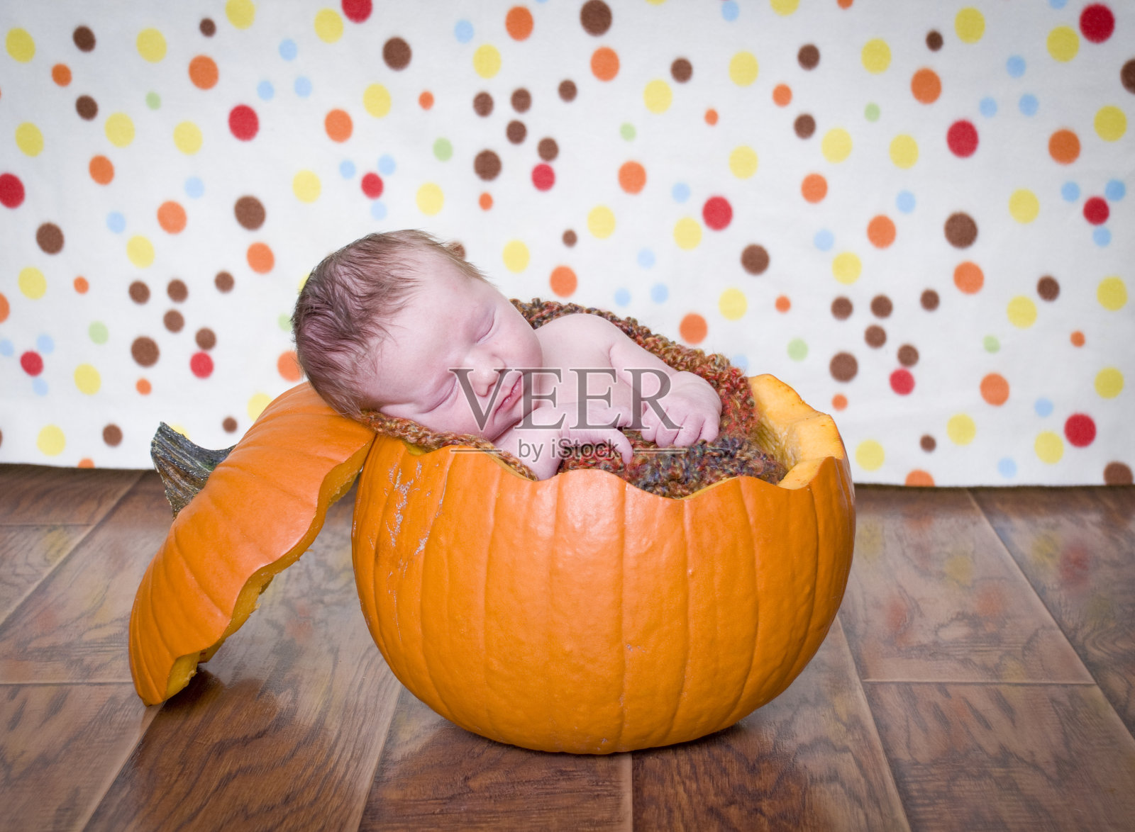 南瓜宝宝照片摄影图片