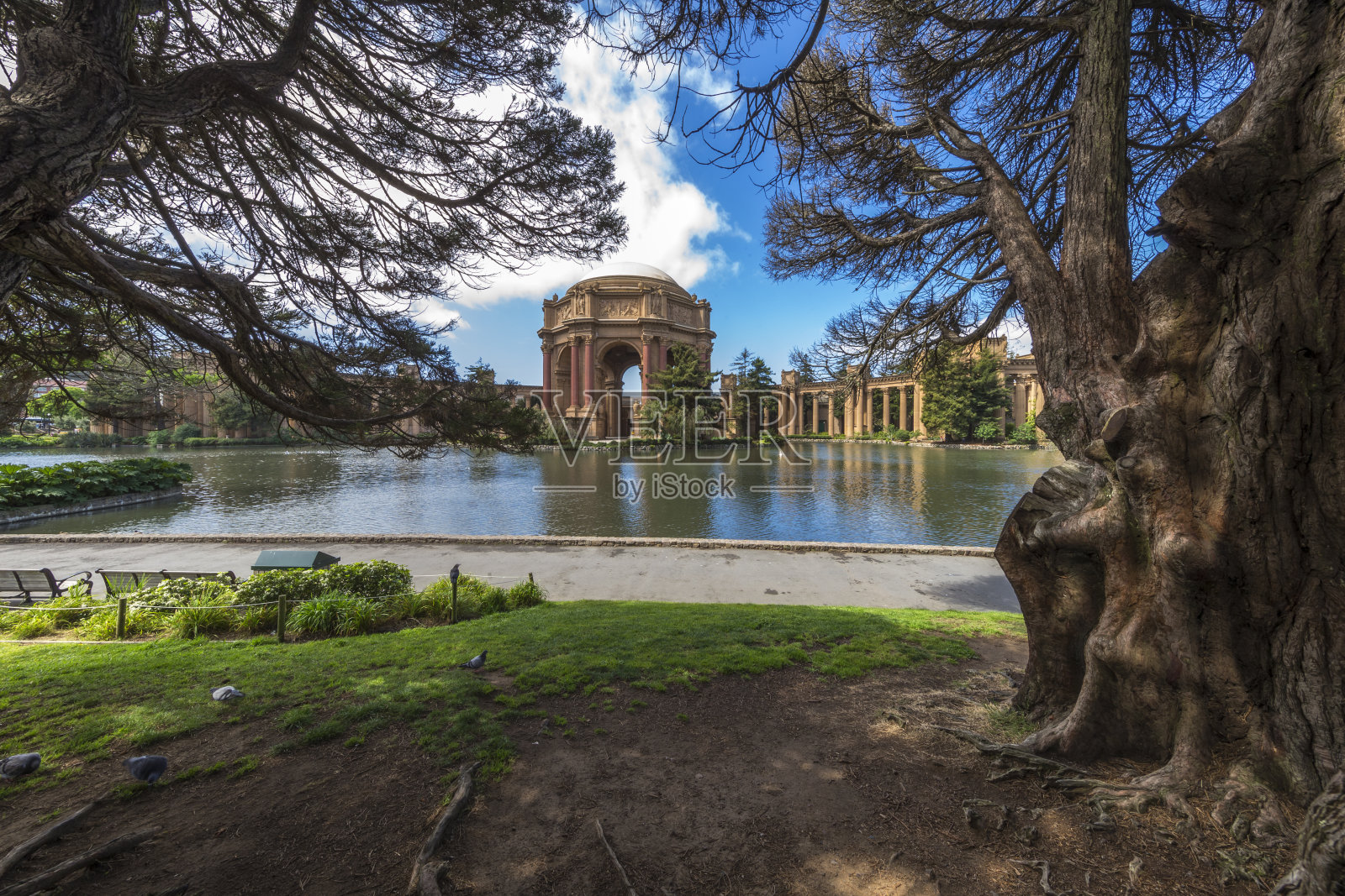 旧金山的美术宫照片摄影图片