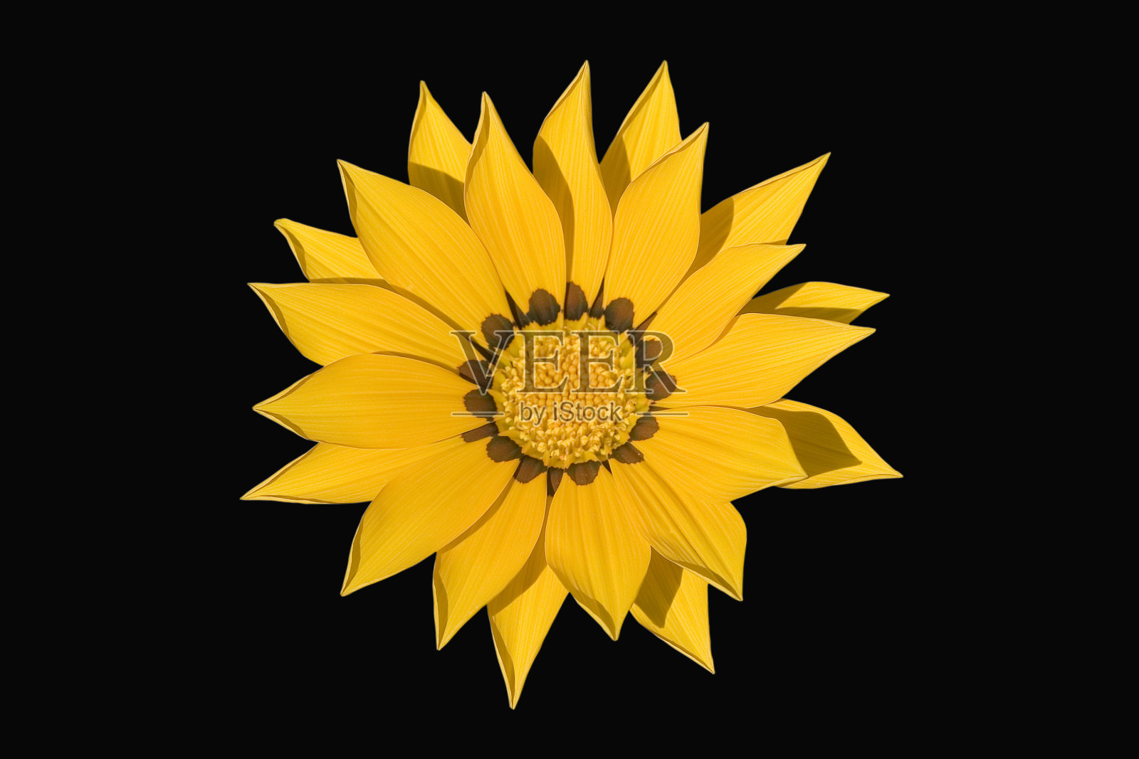 带小路的黄花照片摄影图片