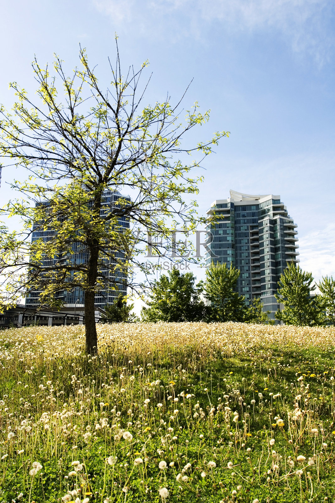 城市的生活方式照片摄影图片
