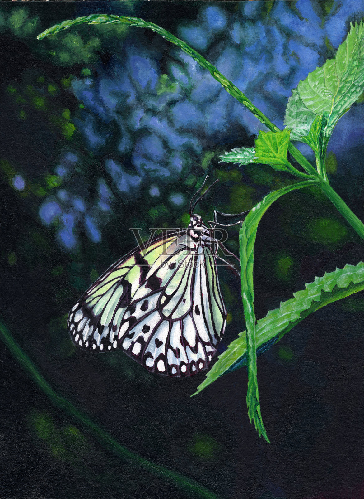 纸风筝蝴蝶画插画图片素材