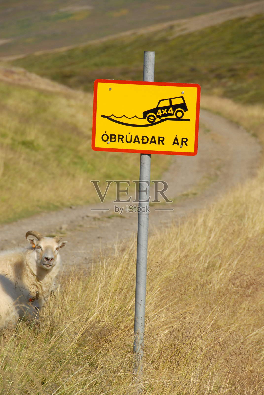 过河是冰岛典型的路标照片摄影图片