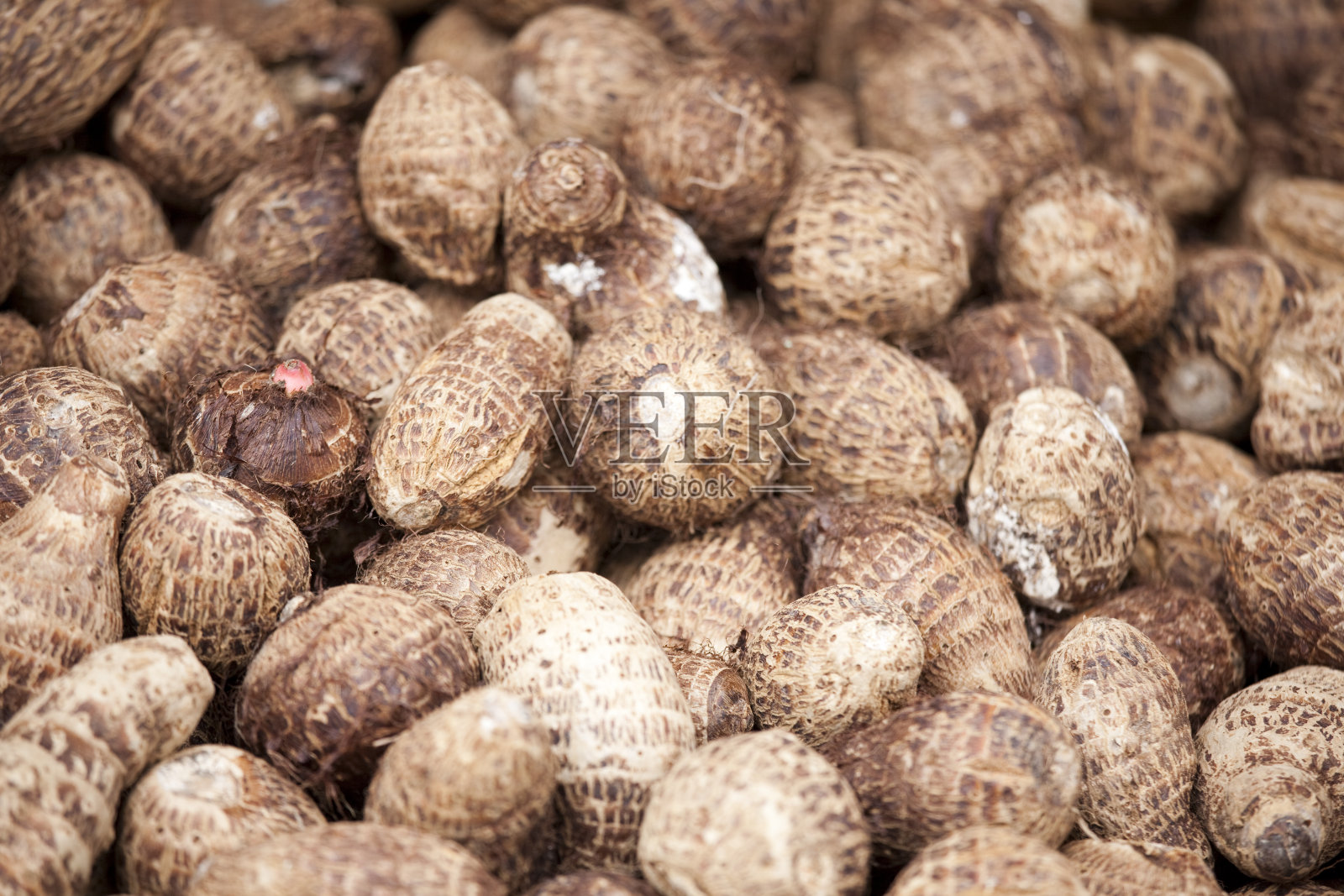 亚洲农贸市场新鲜农产品和蔬菜照片摄影图片