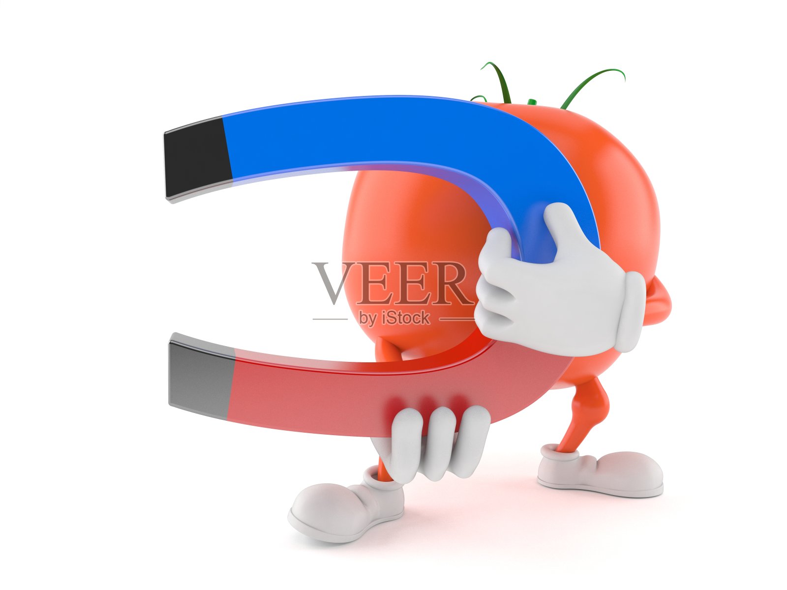 toon番茄照片摄影图片