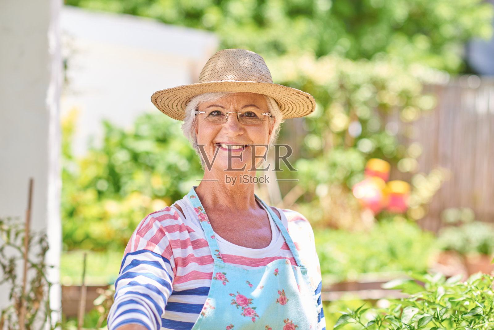 快乐的老妇人在花园里工作照片摄影图片