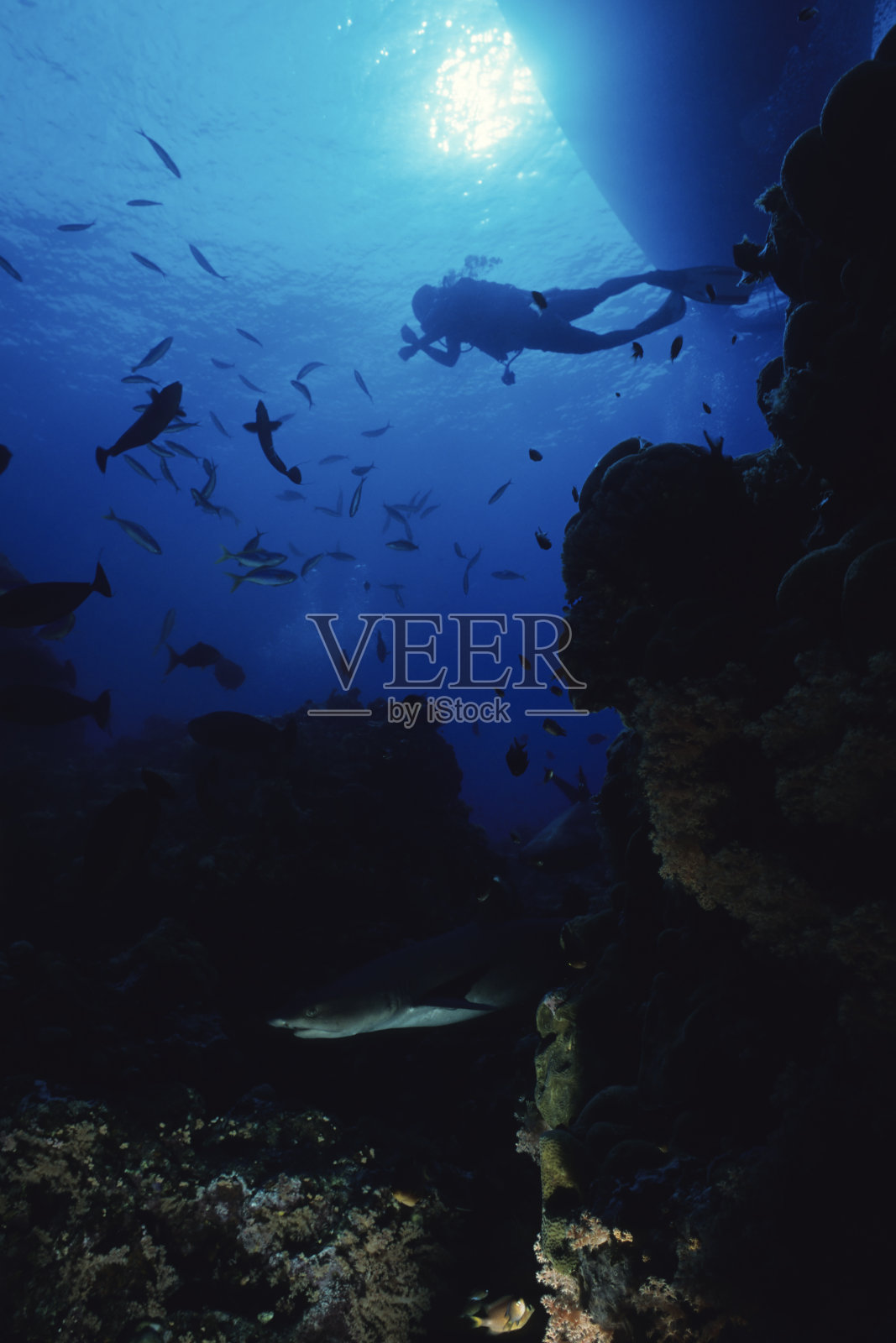 蓝色的冒险照片摄影图片