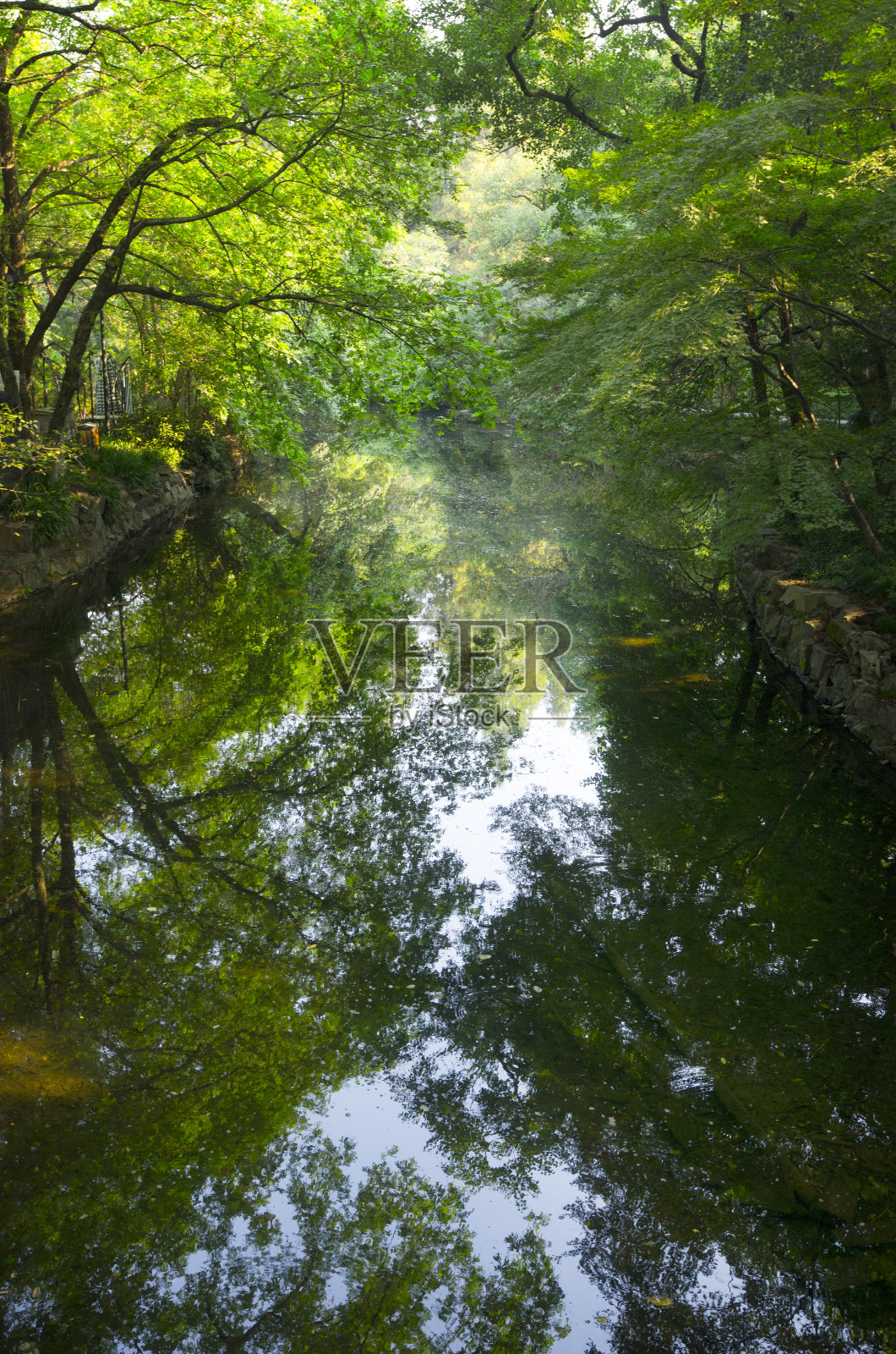 中国花园池塘照片摄影图片
