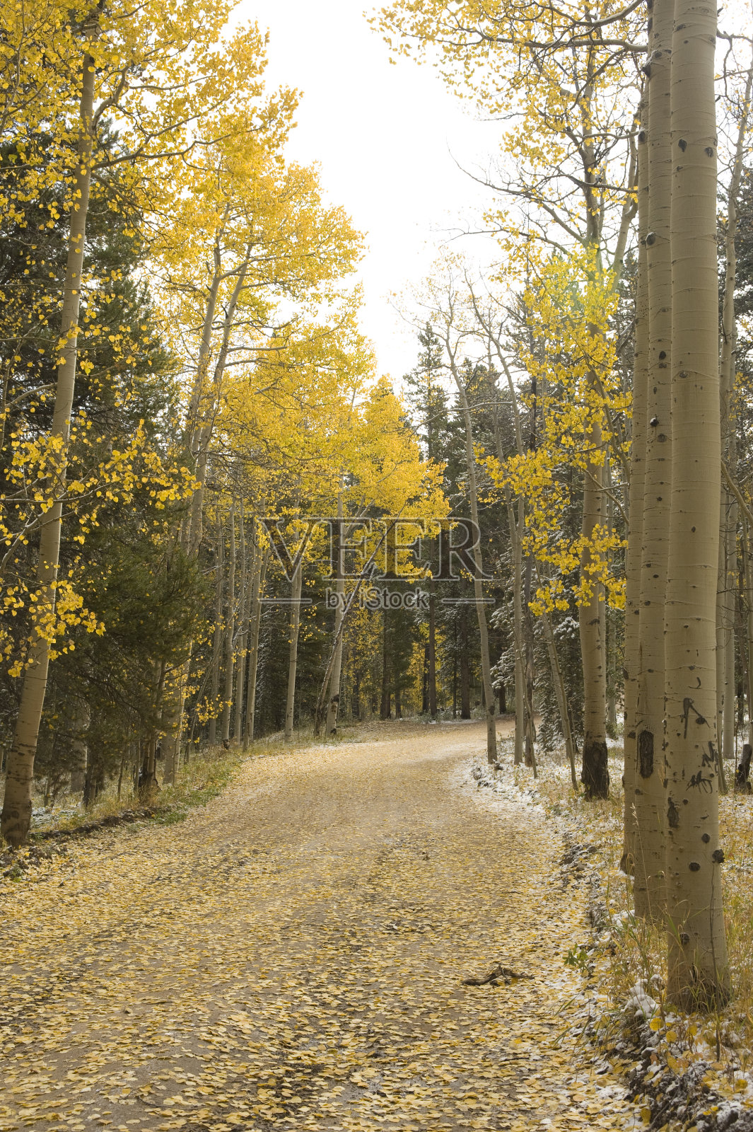 乡间小路在秋天与新鲜的雪照片摄影图片