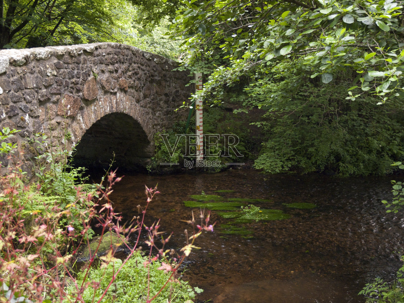 风景如画的达特穆尔照片摄影图片