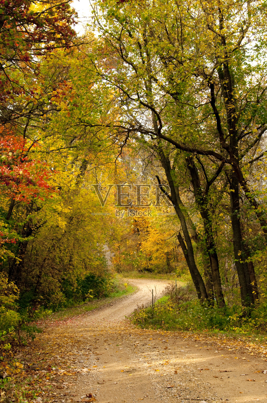 秋天的乡村路照片摄影图片