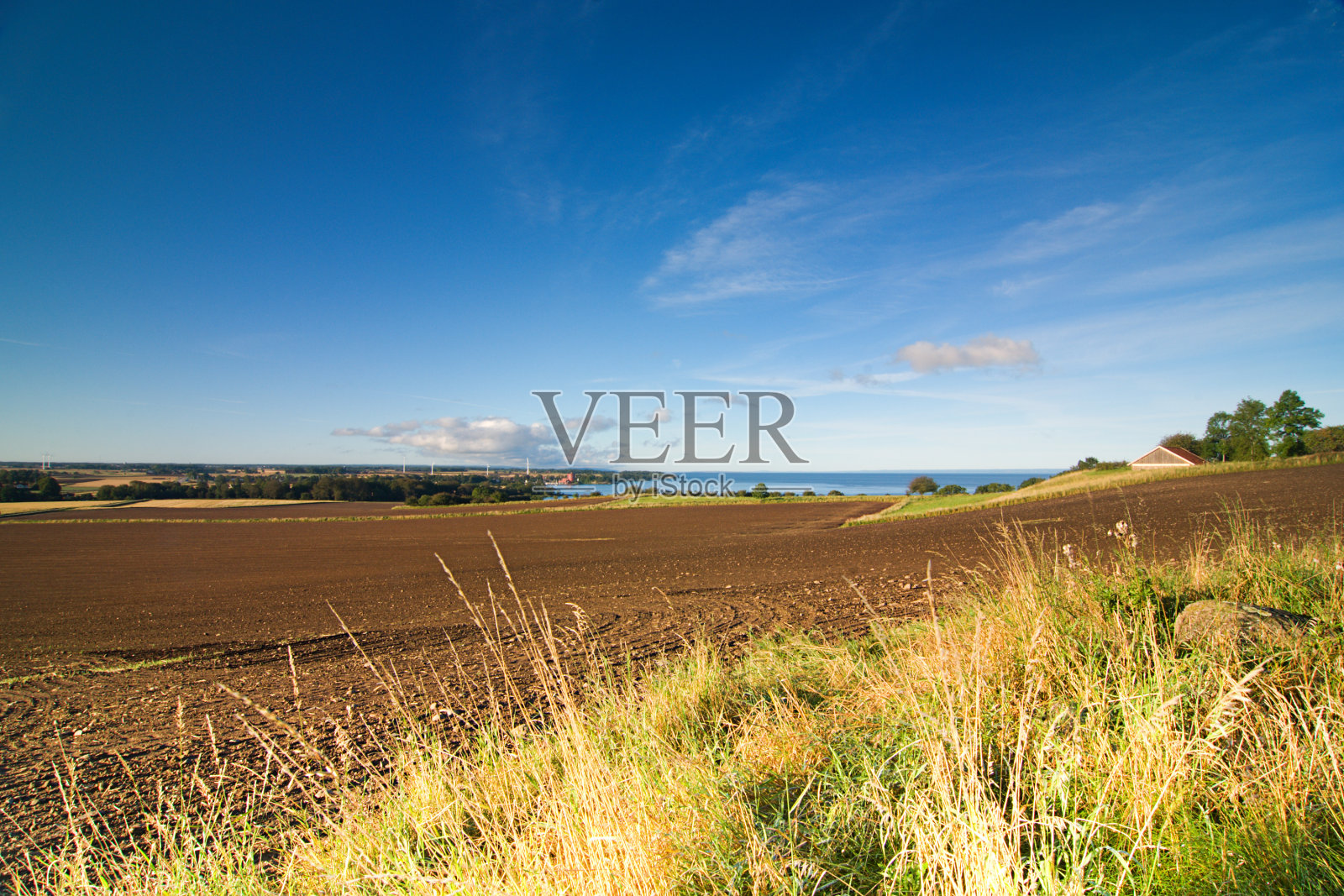 蓝天田野照片摄影图片