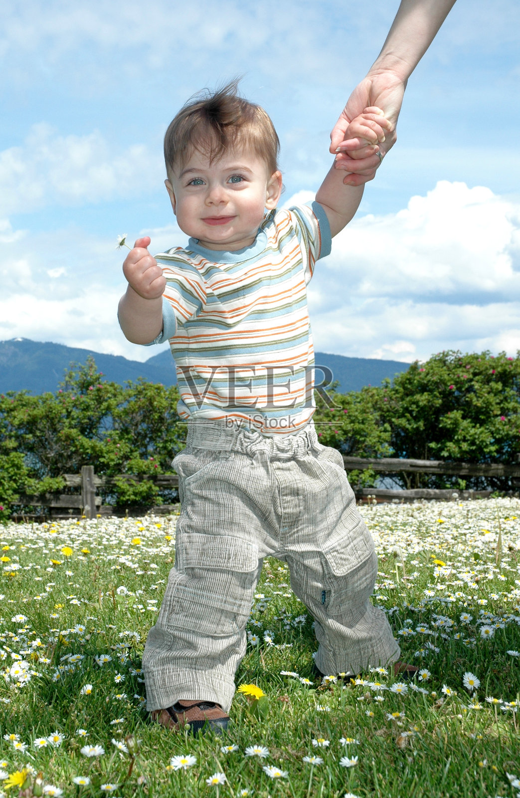 阳光下的乐趣照片摄影图片