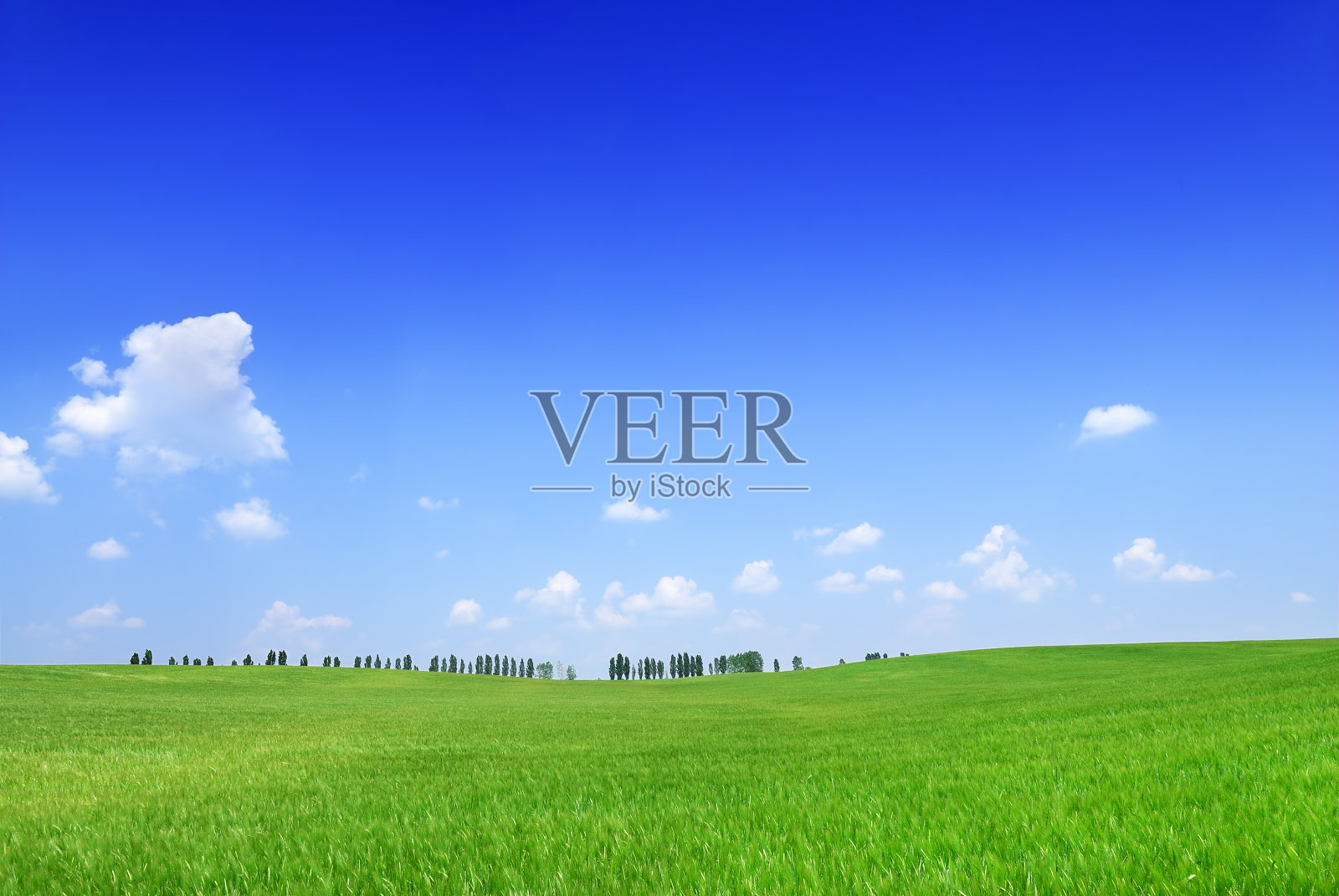 绿色的田野和蓝天上的白云照片摄影图片