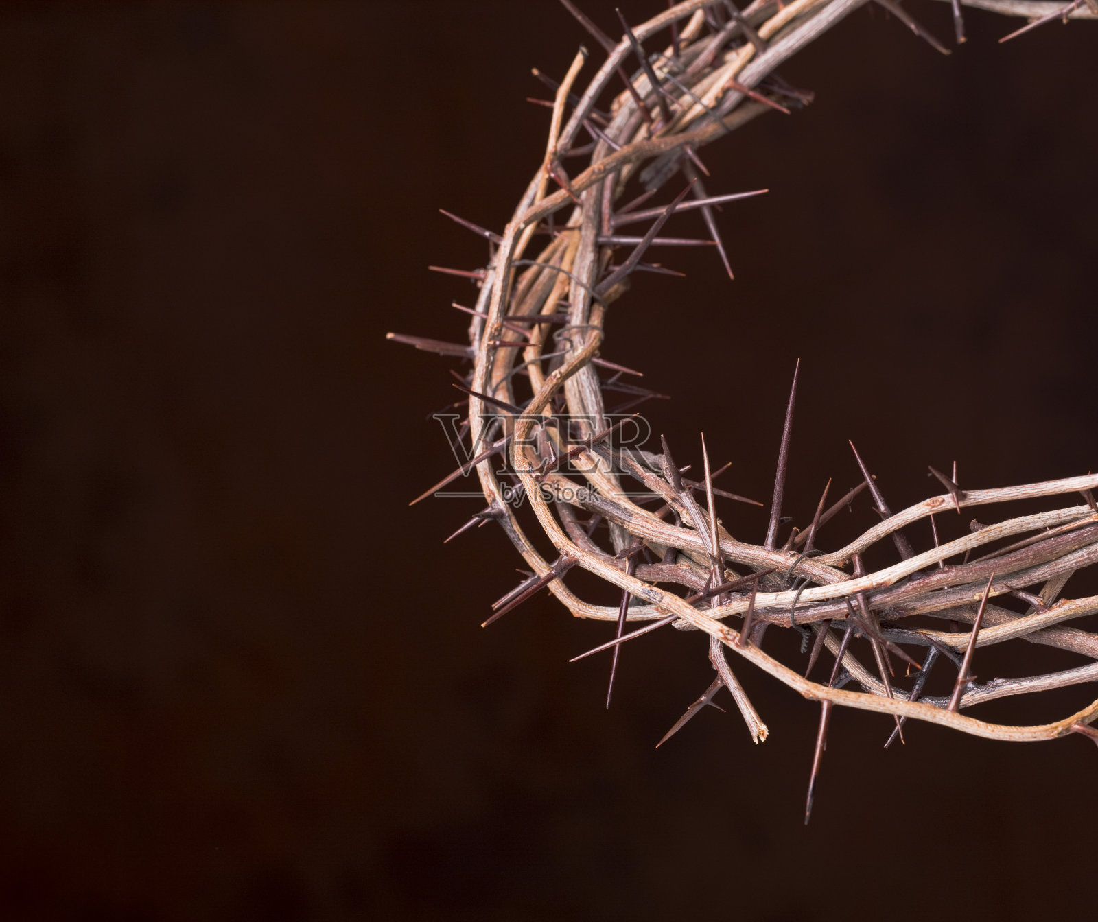 荆棘的冠冕照片摄影图片