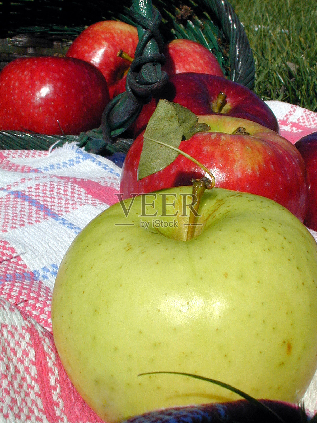 草地上毯子上的苹果照片摄影图片