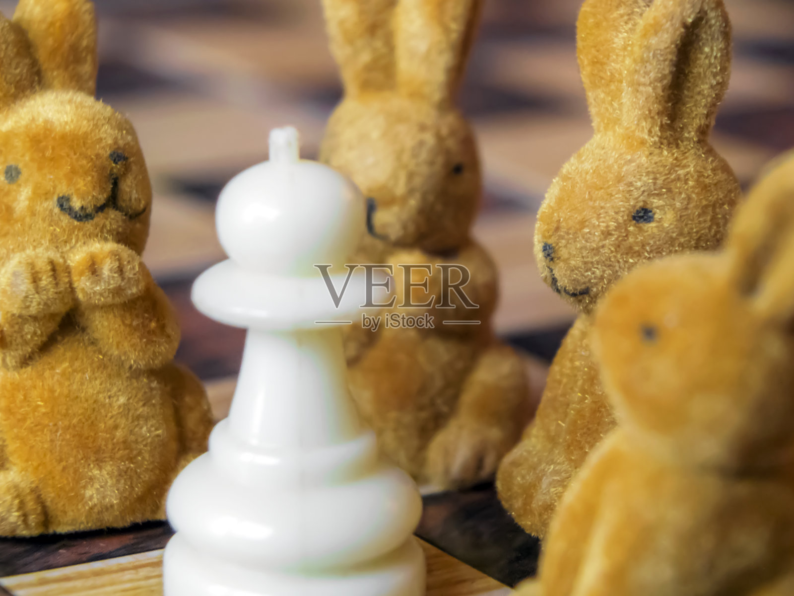 复活节兔子照片摄影图片