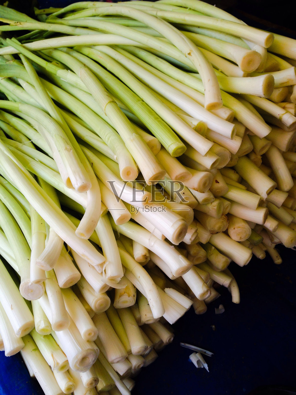 韭菜照片摄影图片