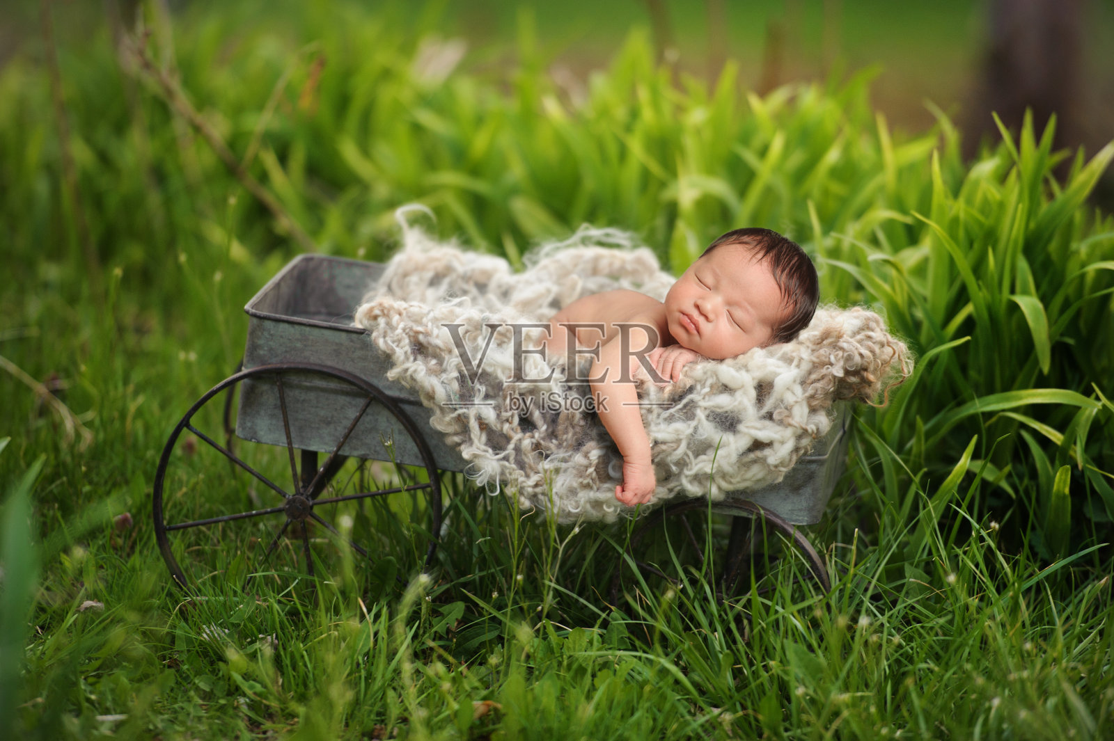 新生男孩睡在马车上照片摄影图片