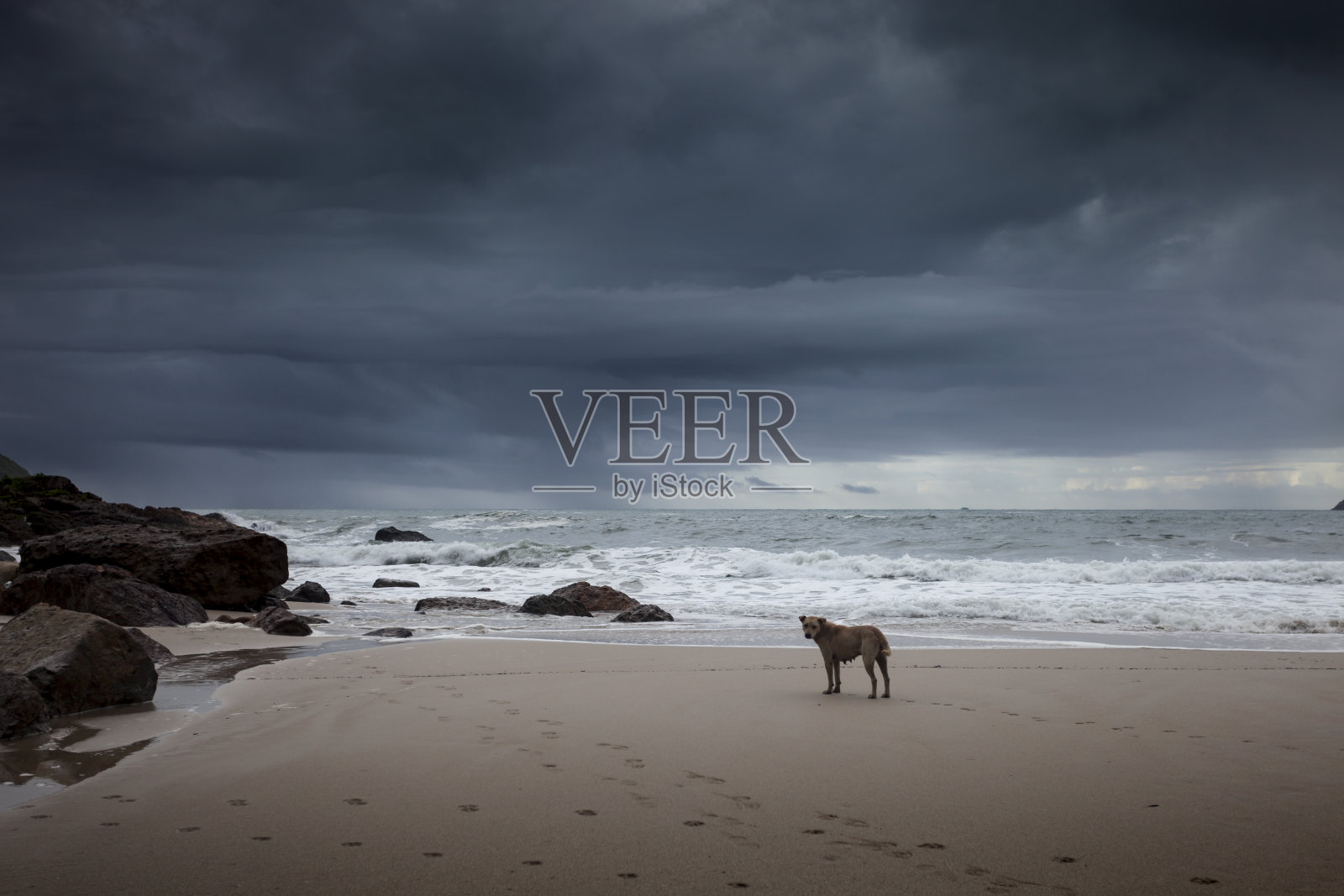 海滩照片摄影图片