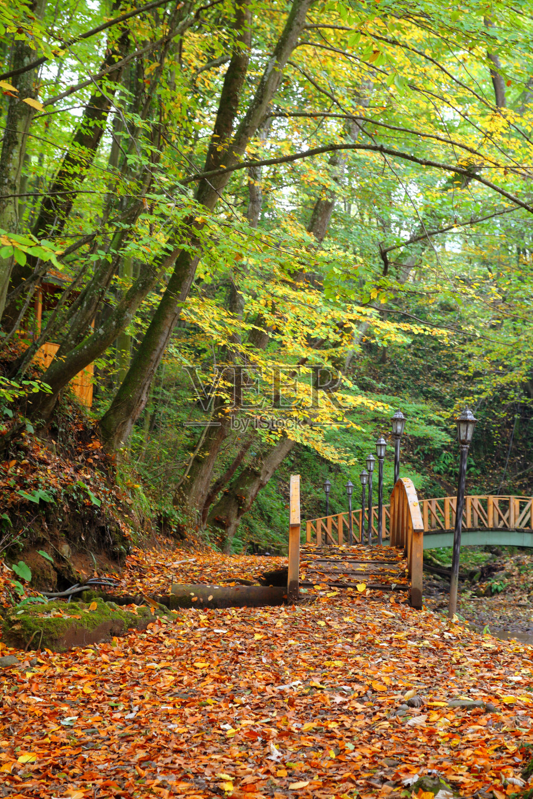 秋天的人行桥照片摄影图片