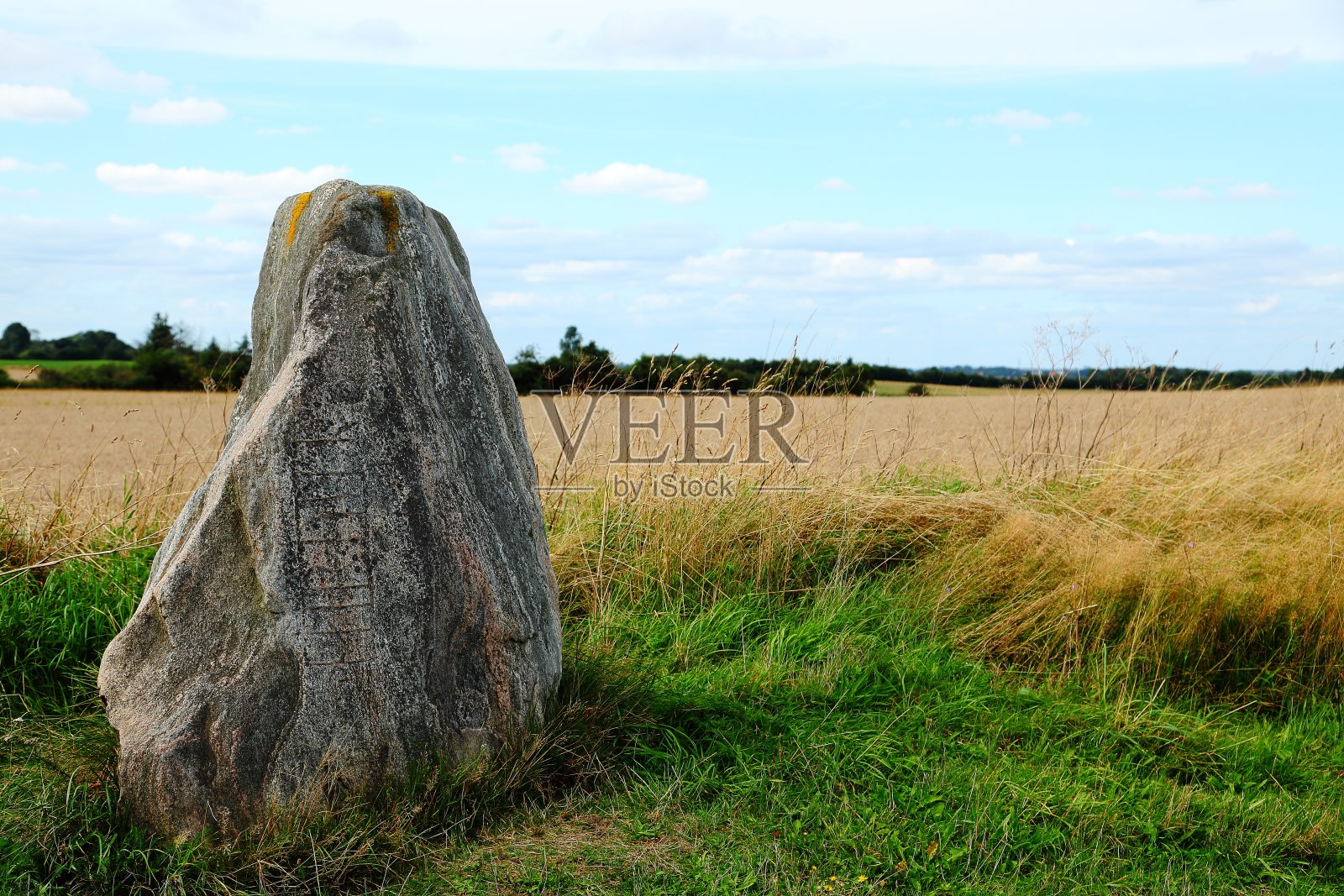 h æ ulf (Hairulfr) runic stone on Hærvejen古军道照片摄影图片
