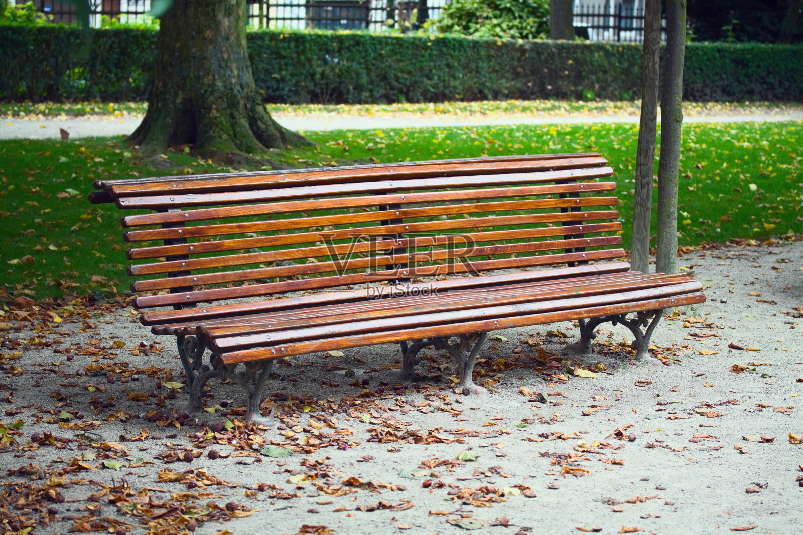 木公园的长椅上照片摄影图片