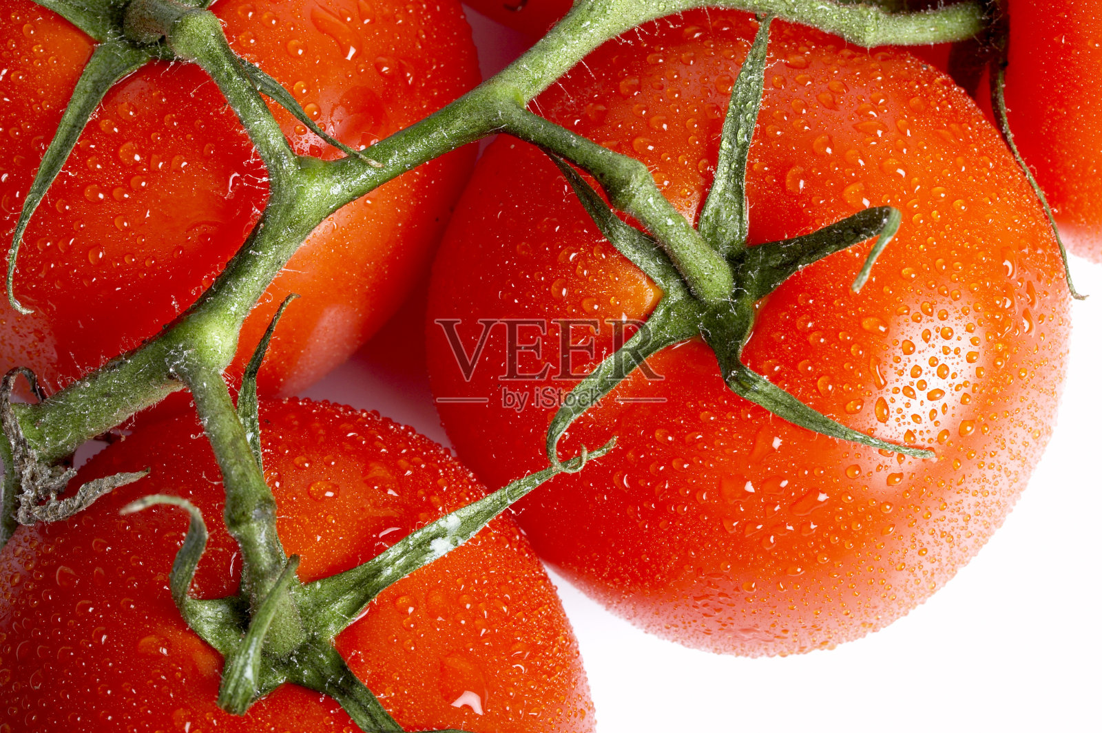 新鲜西红柿,孤立在白色背景上照片摄影图片