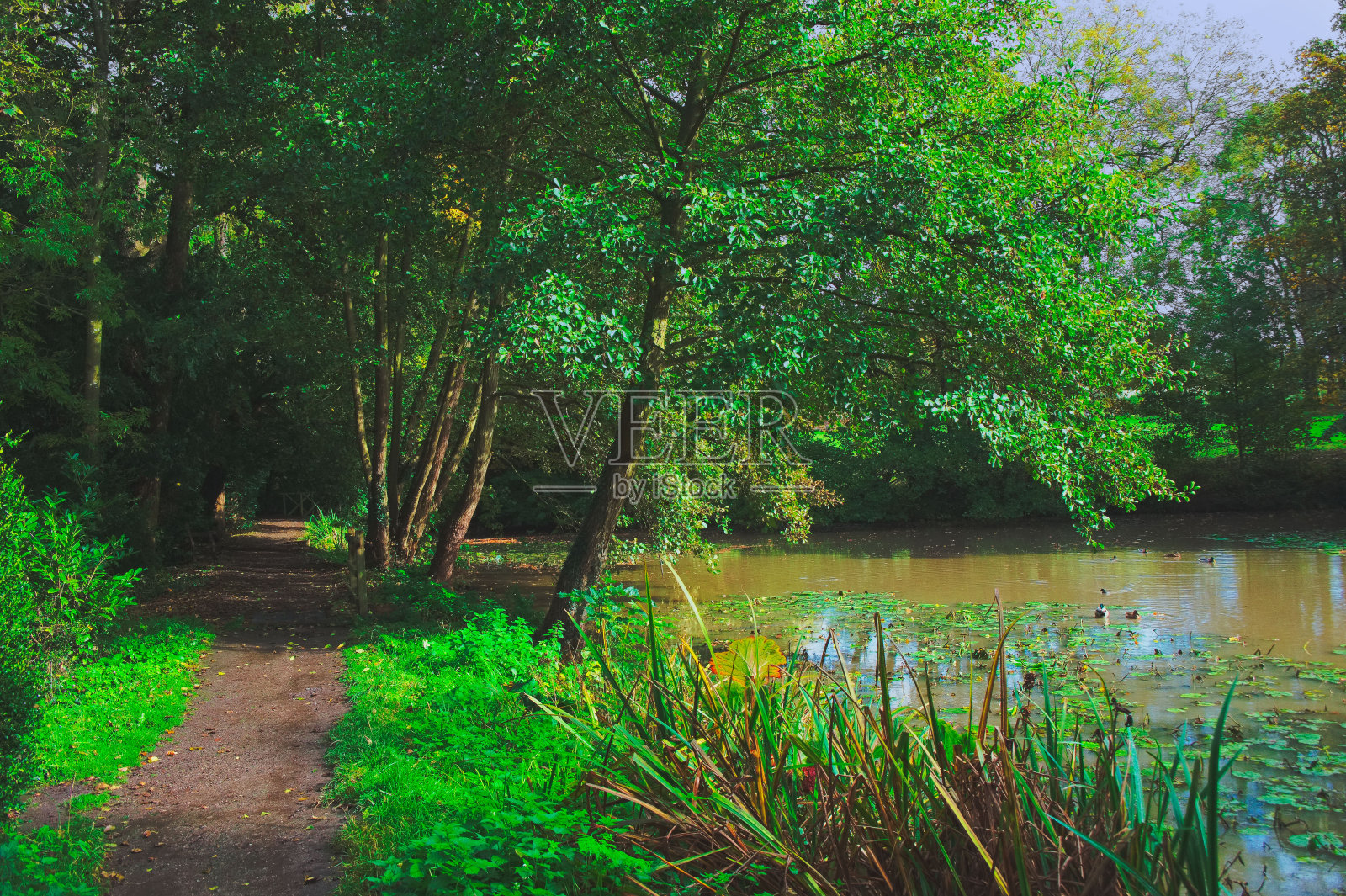 水照片摄影图片