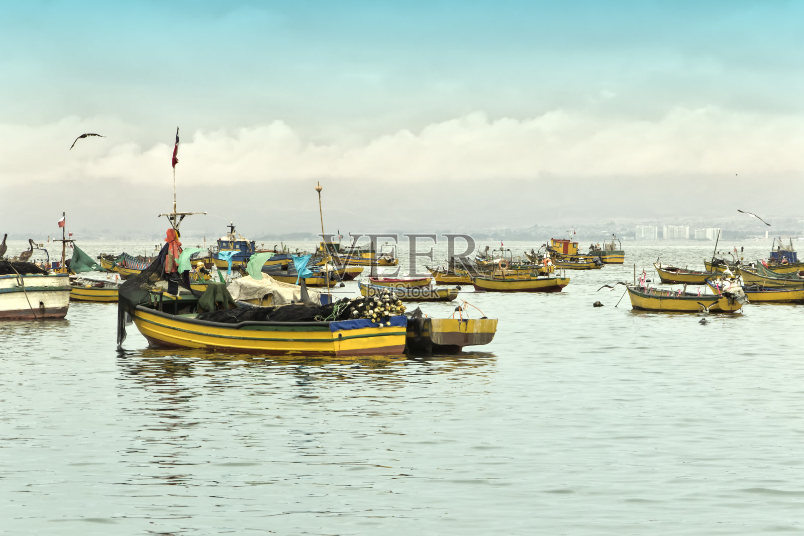 智利科金波港。照片摄影图片